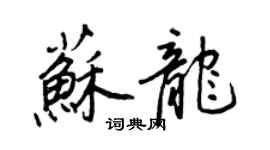 王正良蘇龍行書個性簽名怎么寫