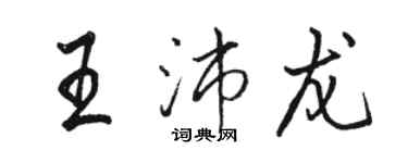 駱恆光王沛龍行書個性簽名怎么寫