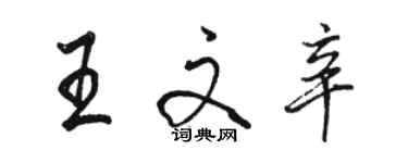 駱恆光王文辛行書個性簽名怎么寫