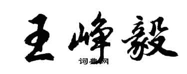 胡問遂王崢毅行書個性簽名怎么寫