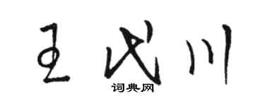 駱恆光王代川草書個性簽名怎么寫