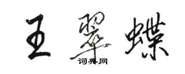 駱恆光王翠蝶行書個性簽名怎么寫