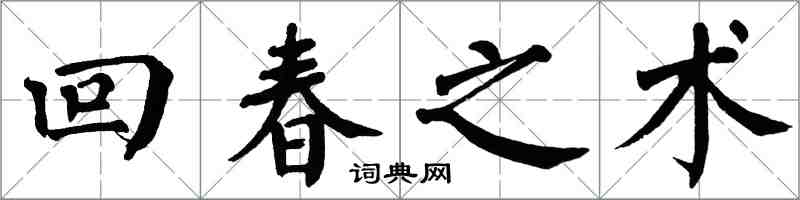 翁闓運回春之術楷書怎么寫