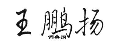 駱恆光王鵬揚行書個性簽名怎么寫