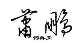 梁錦英蕭鵬草書個性簽名怎么寫