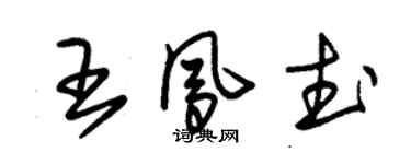 朱錫榮王鳳武草書個性簽名怎么寫