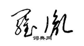 梁錦英羅胤草書個性簽名怎么寫