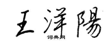 王正良王洋陽行書個性簽名怎么寫