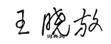 駱恆光王曉放草書個性簽名怎么寫