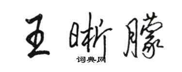 駱恆光王晰朦行書個性簽名怎么寫