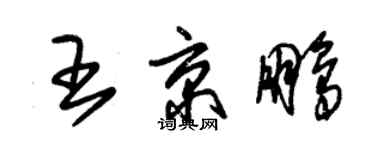 朱錫榮王京鵬草書個性簽名怎么寫