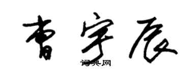 朱錫榮曹宇辰草書個性簽名怎么寫