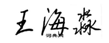 王正良王海淼行書個性簽名怎么寫