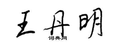 王正良王丹明行書個性簽名怎么寫