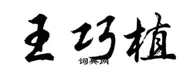胡問遂王巧植行書個性簽名怎么寫
