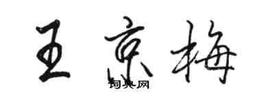 駱恆光王京梅行書個性簽名怎么寫
