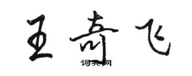 駱恆光王奇飛行書個性簽名怎么寫