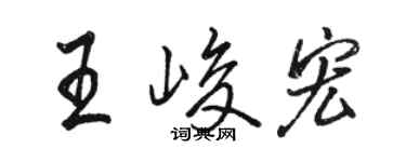 駱恆光王峻宏行書個性簽名怎么寫