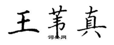 丁謙王葦真楷書個性簽名怎么寫