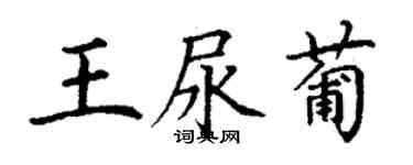 丁謙王尿葡楷書個性簽名怎么寫