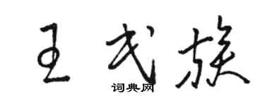 駱恆光王民族草書個性簽名怎么寫