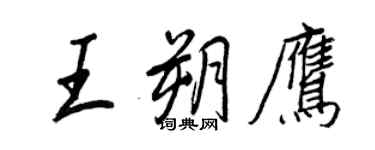 王正良王朔鷹行書個性簽名怎么寫