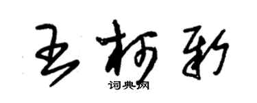 朱錫榮王柯新草書個性簽名怎么寫