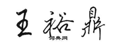 駱恆光王裕鼎行書個性簽名怎么寫