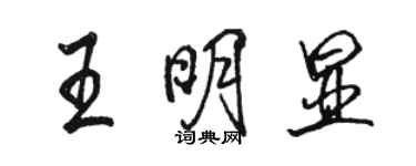 駱恆光王明顯行書個性簽名怎么寫