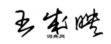 朱錫榮王成映草書個性簽名怎么寫