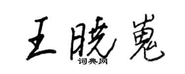 王正良王曉嵬行書個性簽名怎么寫