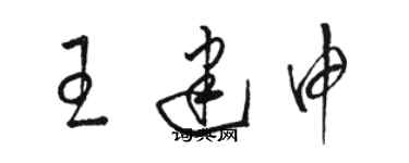 駱恆光王建申草書個性簽名怎么寫