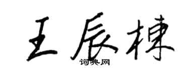 王正良王辰棟行書個性簽名怎么寫