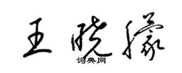 梁錦英王曉朦草書個性簽名怎么寫