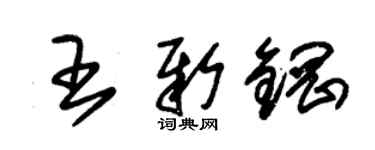 朱錫榮王新鋼草書個性簽名怎么寫