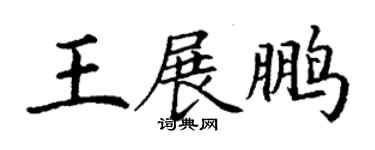 丁謙王展鵬楷書個性簽名怎么寫