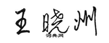 駱恆光王曉州行書個性簽名怎么寫