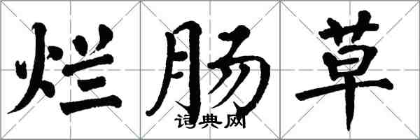 翁闓運爛腸草楷書怎么寫