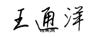 王正良王通洋行書個性簽名怎么寫