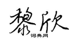 王正良黎欣行書個性簽名怎么寫
