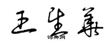 曾慶福王望華草書個性簽名怎么寫