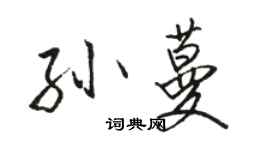 駱恆光孫蔓行書個性簽名怎么寫