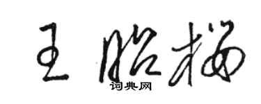 駱恆光王昭櫻草書個性簽名怎么寫