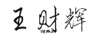 駱恆光王財輝行書個性簽名怎么寫