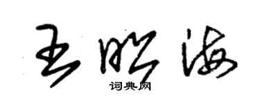 朱錫榮王昭海草書個性簽名怎么寫