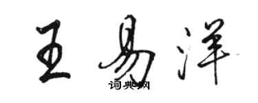 駱恆光王易洋行書個性簽名怎么寫