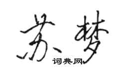 駱恆光蘇夢行書個性簽名怎么寫