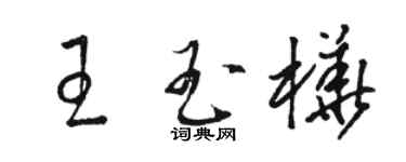 駱恆光王玉樺草書個性簽名怎么寫