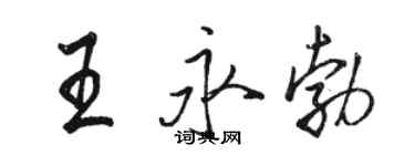 駱恆光王永勃行書個性簽名怎么寫