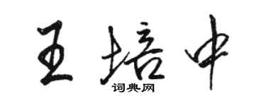 駱恆光王培中行書個性簽名怎么寫